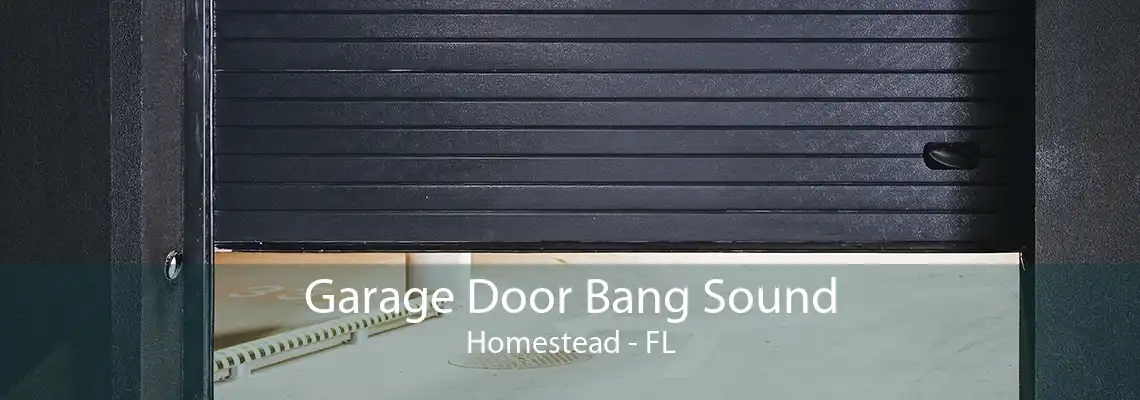 Garage Door Bang Sound Homestead - FL