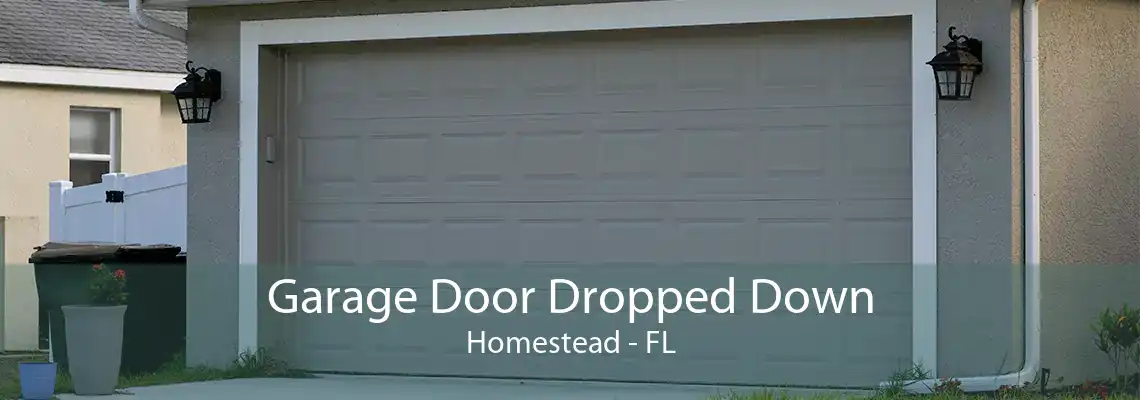 Garage Door Dropped Down Homestead - FL