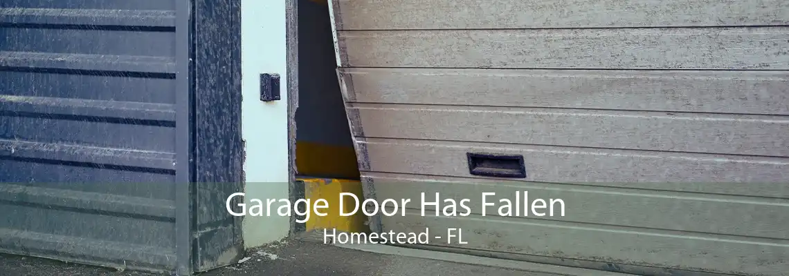 Garage Door Has Fallen Homestead - FL