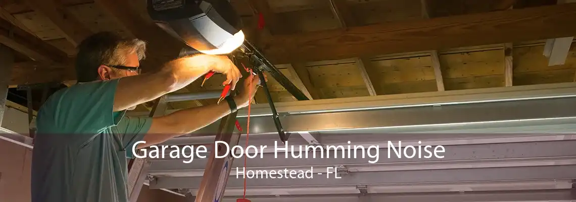 Garage Door Humming Noise Homestead - FL