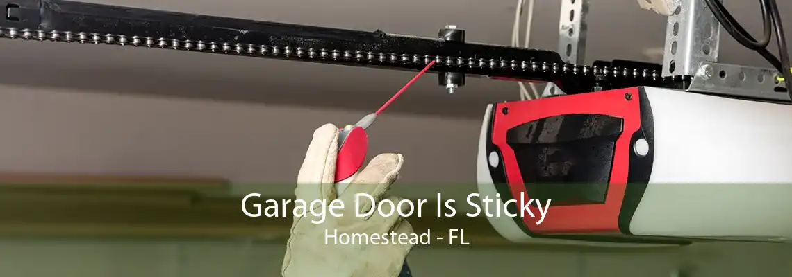 Garage Door Is Sticky Homestead - FL