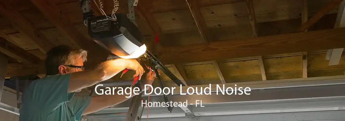 Garage Door Loud Noise Homestead - FL