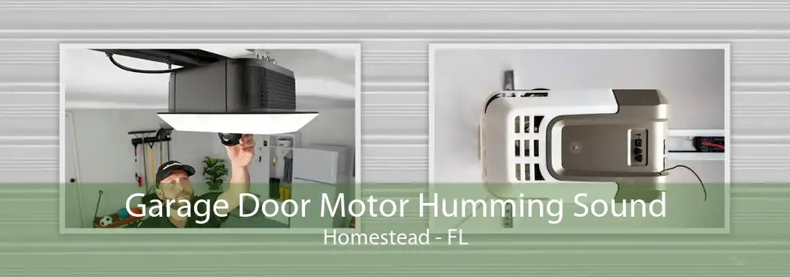 Garage Door Motor Humming Sound Homestead - FL