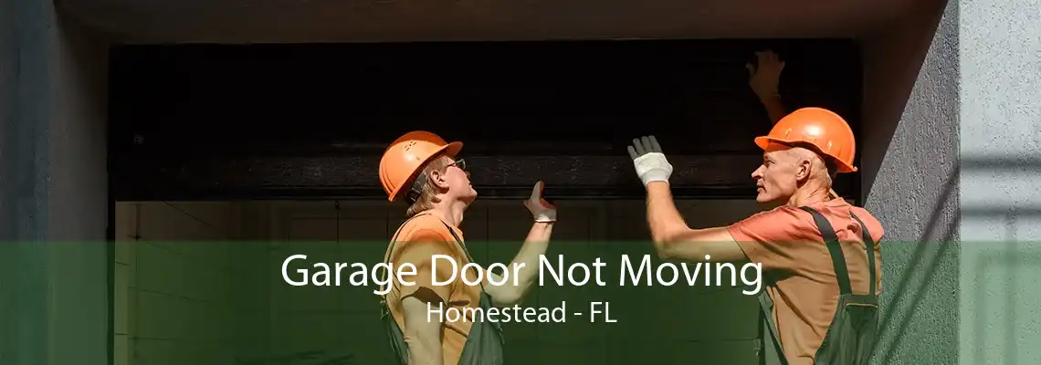 Garage Door Not Moving Homestead - FL