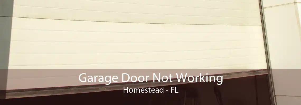 Garage Door Not Working Homestead - FL