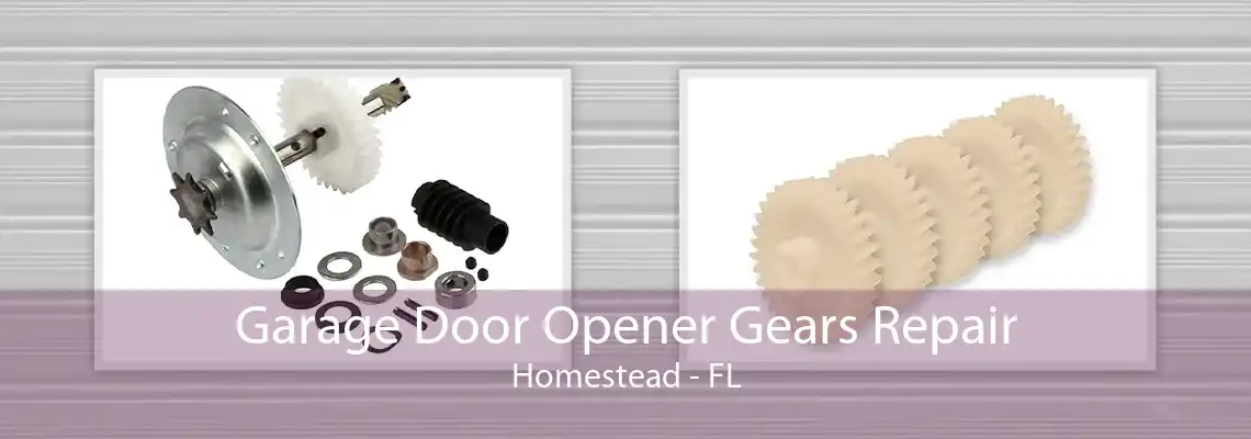 Garage Door Opener Gears Repair Homestead - FL