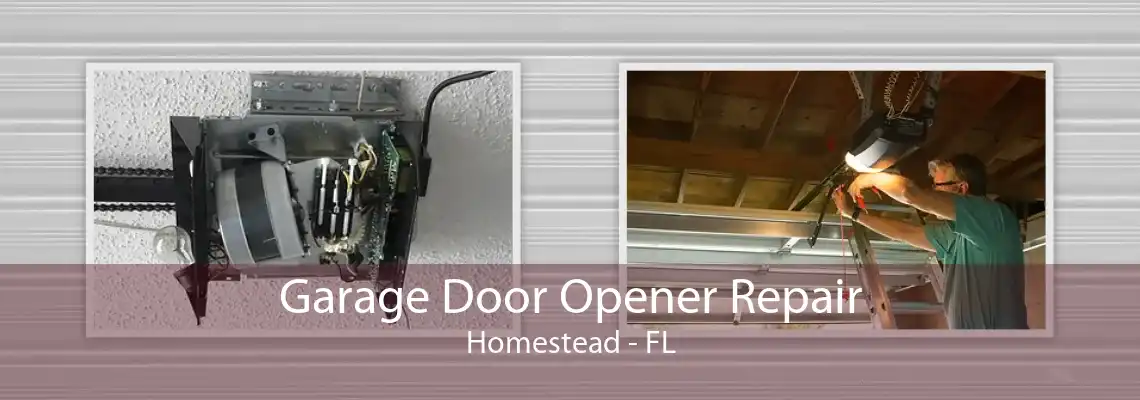 Garage Door Opener Repair Homestead - FL