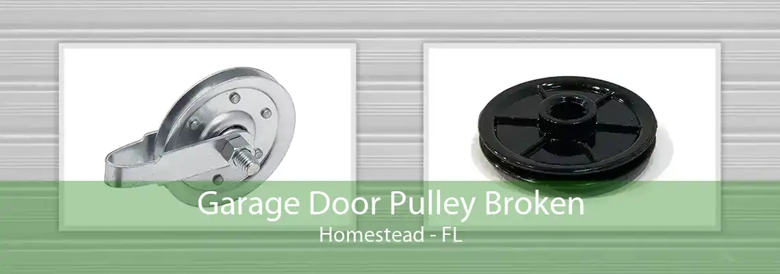 Garage Door Pulley Broken Homestead - FL