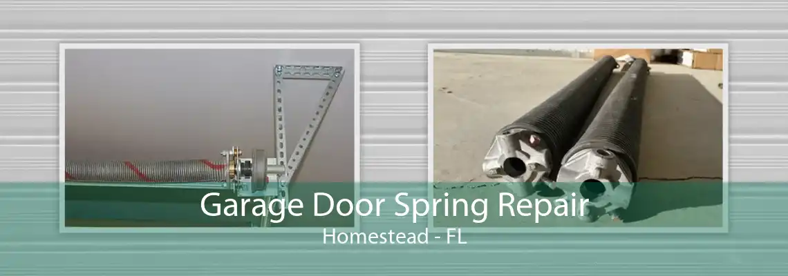 Garage Door Spring Repair Homestead - FL