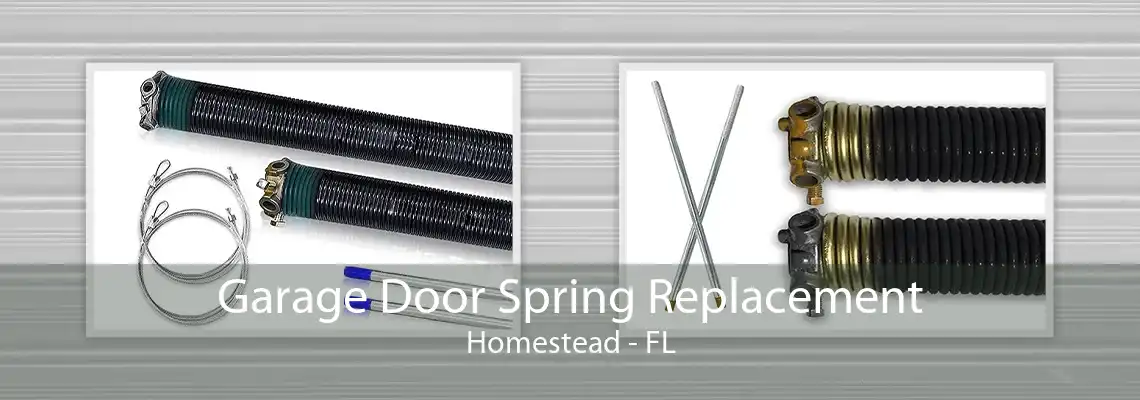 Garage Door Spring Replacement Homestead - FL