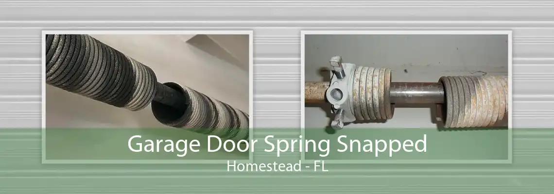 Garage Door Spring Snapped Homestead - FL