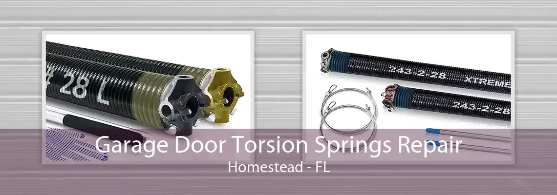 Garage Door Torsion Springs Repair Homestead - FL