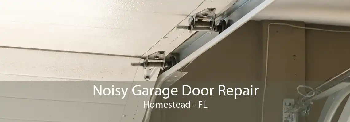 Noisy Garage Door Repair Homestead - FL