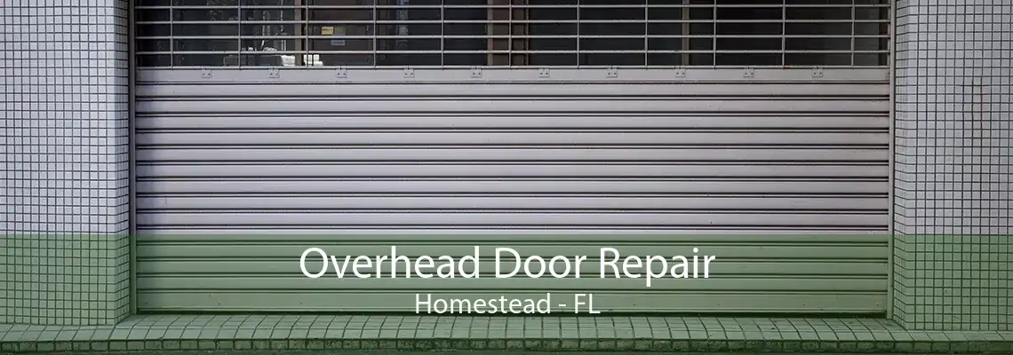 Overhead Door Repair Homestead - FL