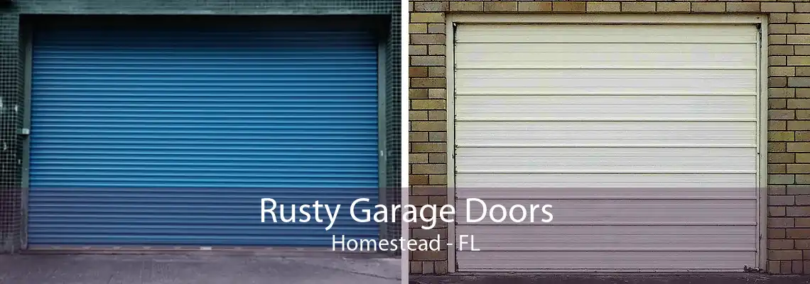 Rusty Garage Doors Homestead - FL